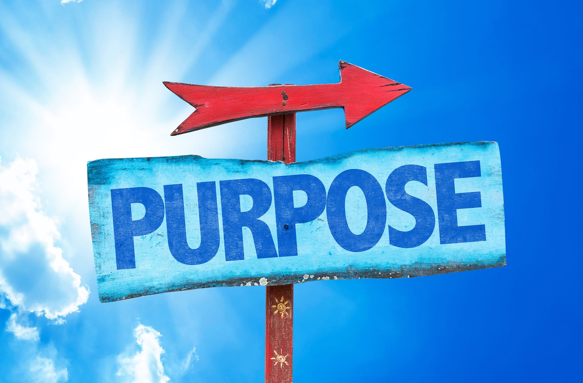 19-life-purpose-examples-to-find-your-true-purpose-2022